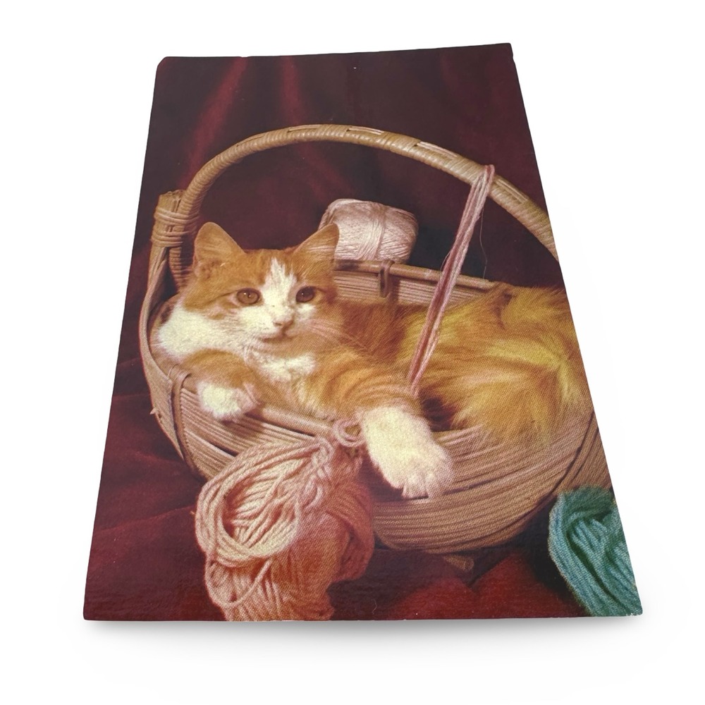 Vintage View Gram Cat Spinning the‎ Yarn Postcard Bob Taylor Unused 60s BLC-99